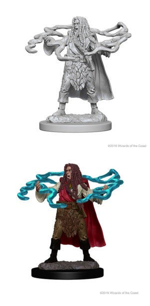 D&D - Human Sorcerer (Male)