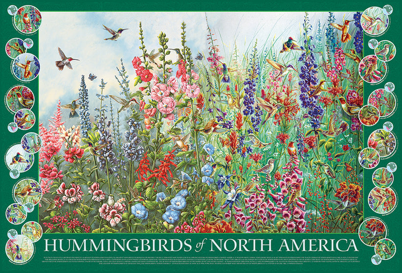Hummingbirds of North America - 2000 Pieces