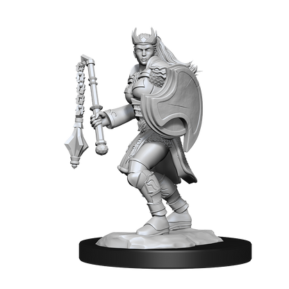 Wizkids - Kalashtar Cleric (Female)