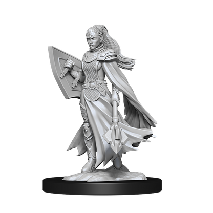 Wizkids - Kalashtar Cleric (Female)