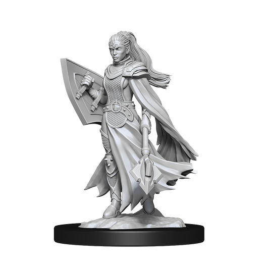 Wizkids - Kalashtar Cleric (Female)