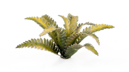 Laser Plant - Deer Fern