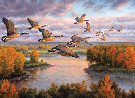 Migration - 1000 Pieces
