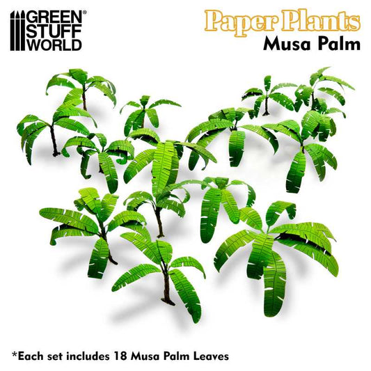 Paper Plants - Musa Palm
