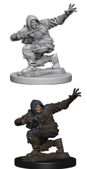 Pathfinder - Human Rogue (Male)