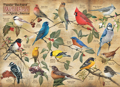 Popular Backyard Birds of North America - 1000 Pieces