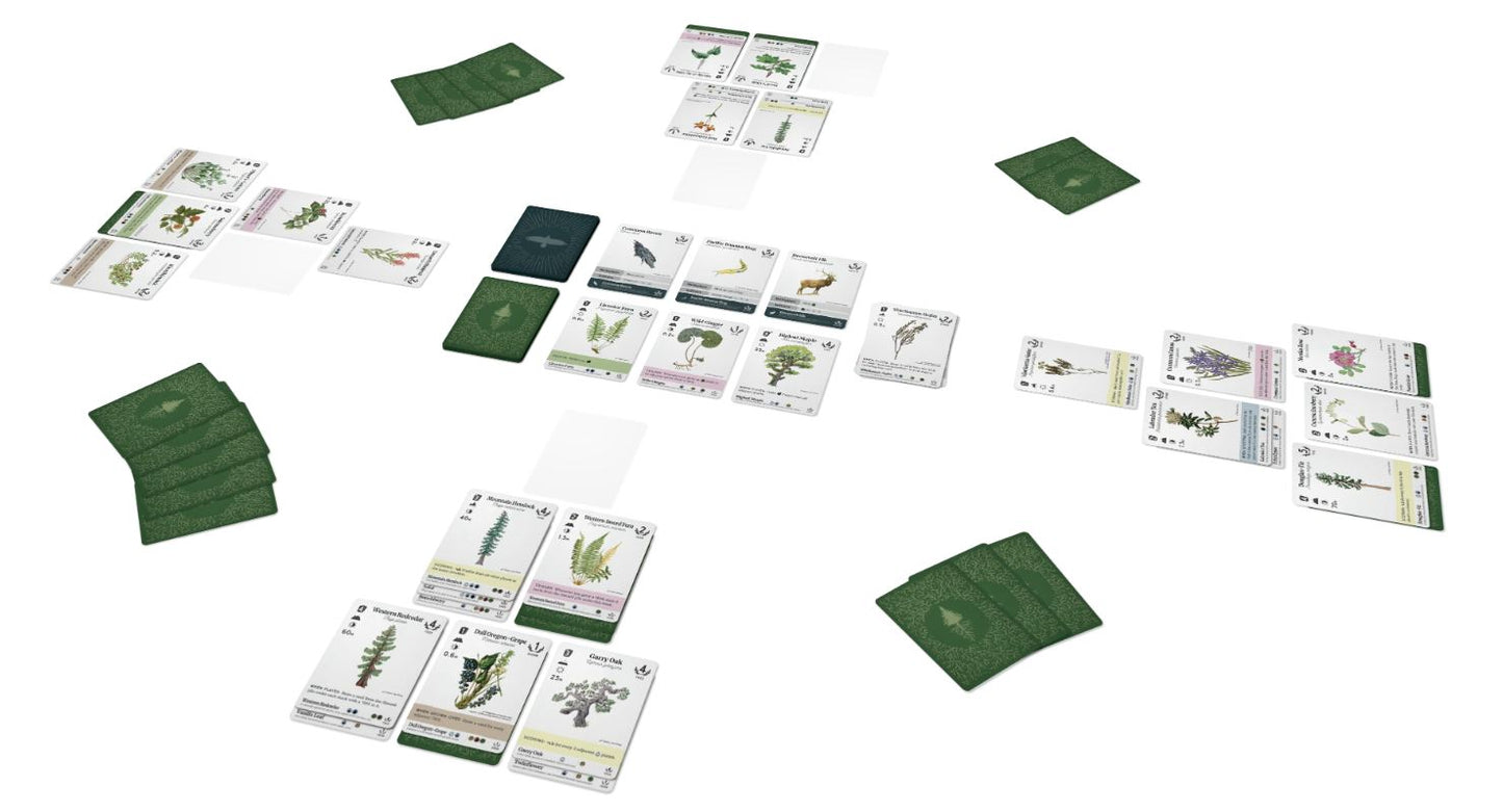 Reforest - Plants Of The Pacific Northwest Coast