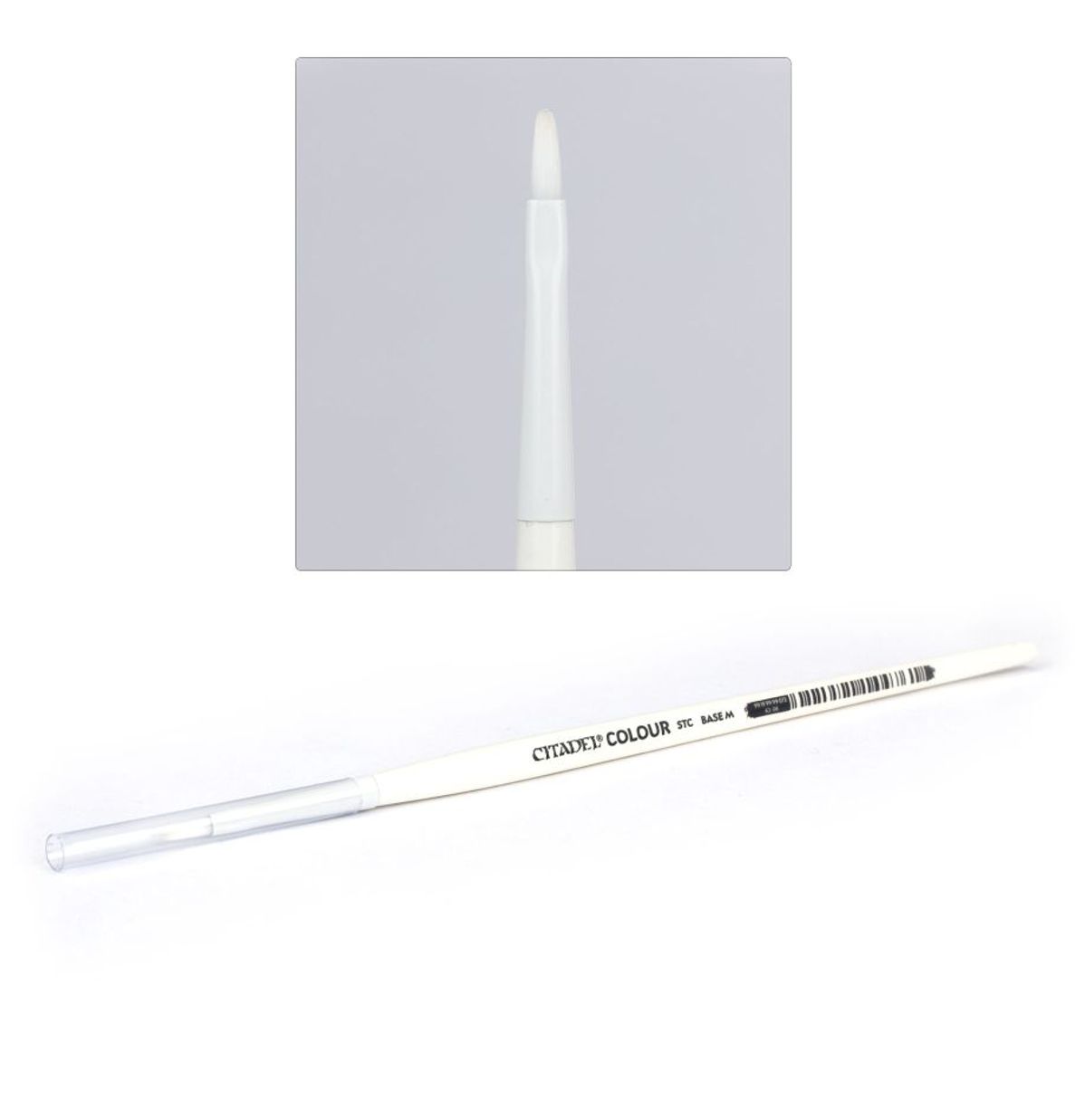 STC Base Brush