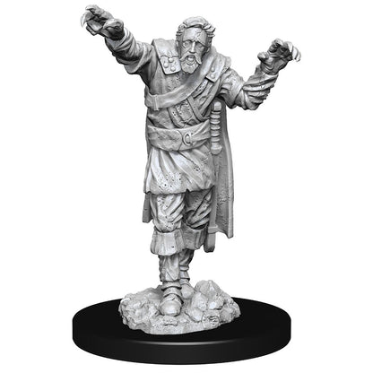 Wizkids - Scarecrow & Stone Cursed