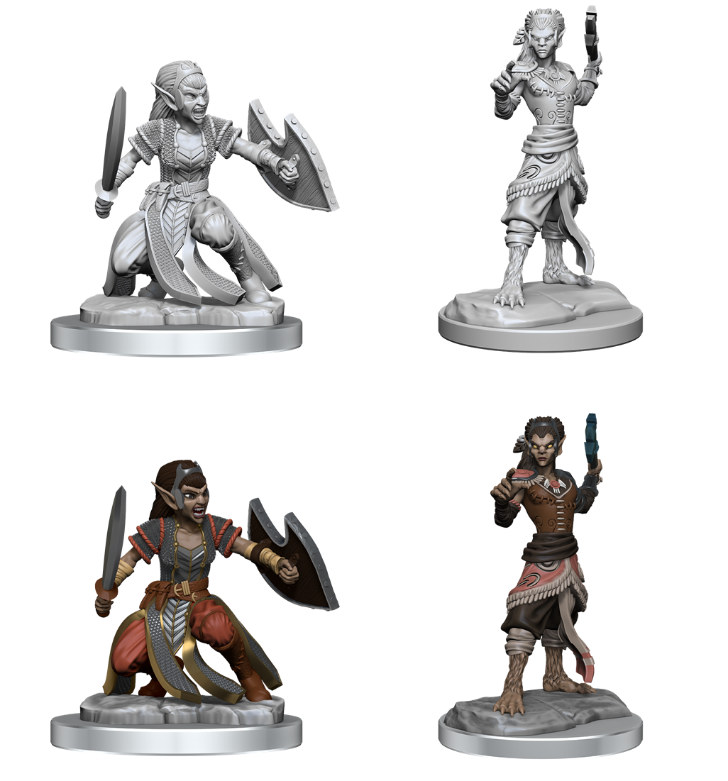 Wizkids - Shifter Fighter