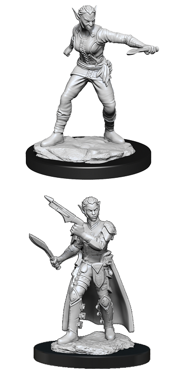 Wizkids - Shifter Rogue (Female)