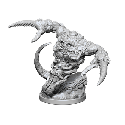 Wizkids - Tsucora Quori & Hashalaq Quori