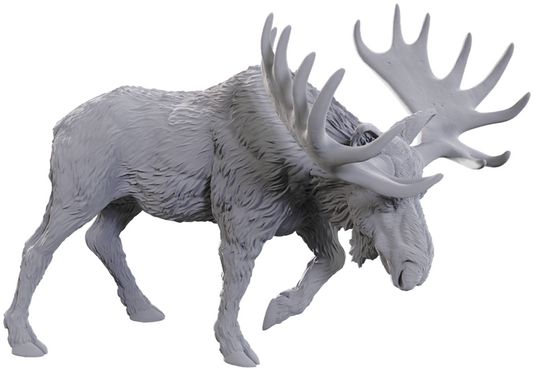 WIzkids - Bull Moose