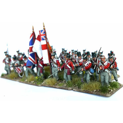 Waterloo British Infantry Centre Companies