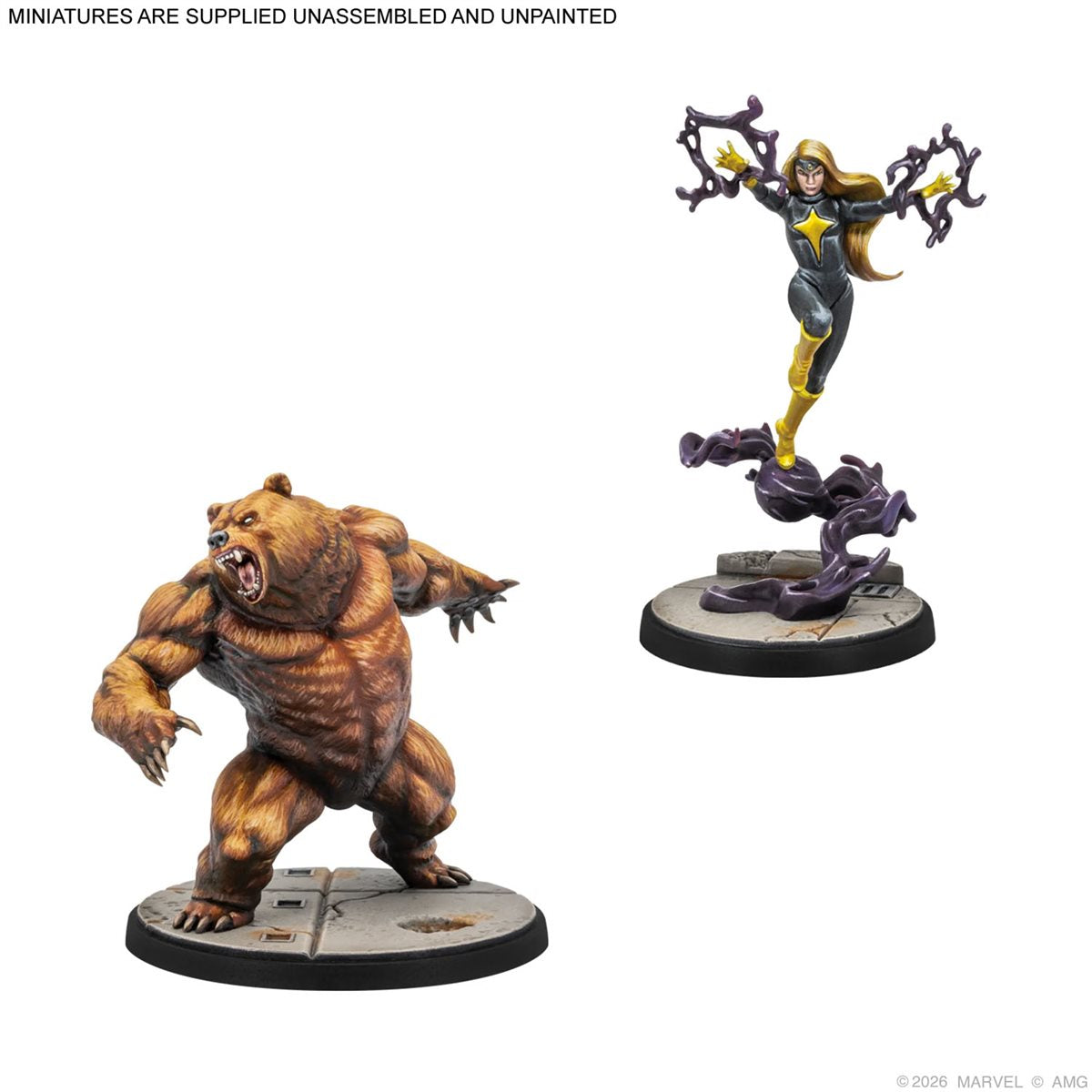 Winter Guard - Affiliation Pack