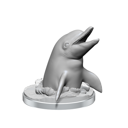 Wizkids - Dolphins