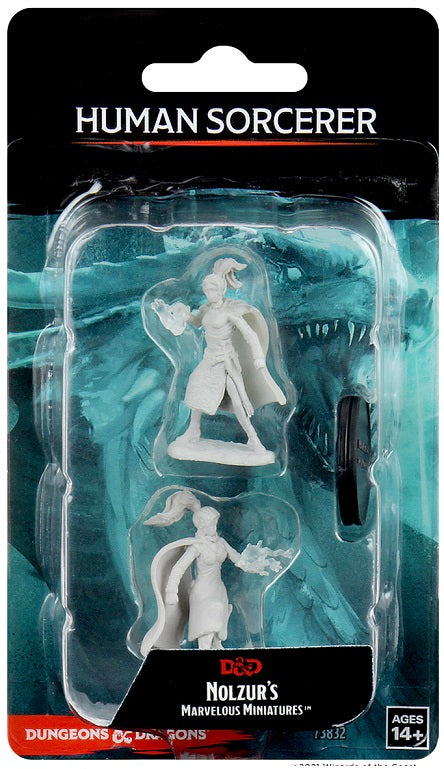 Wizkids - Human Sorcerer (Female)