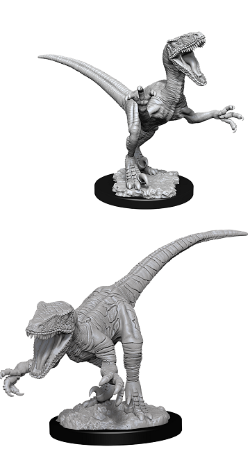 Wizkids - Raptors